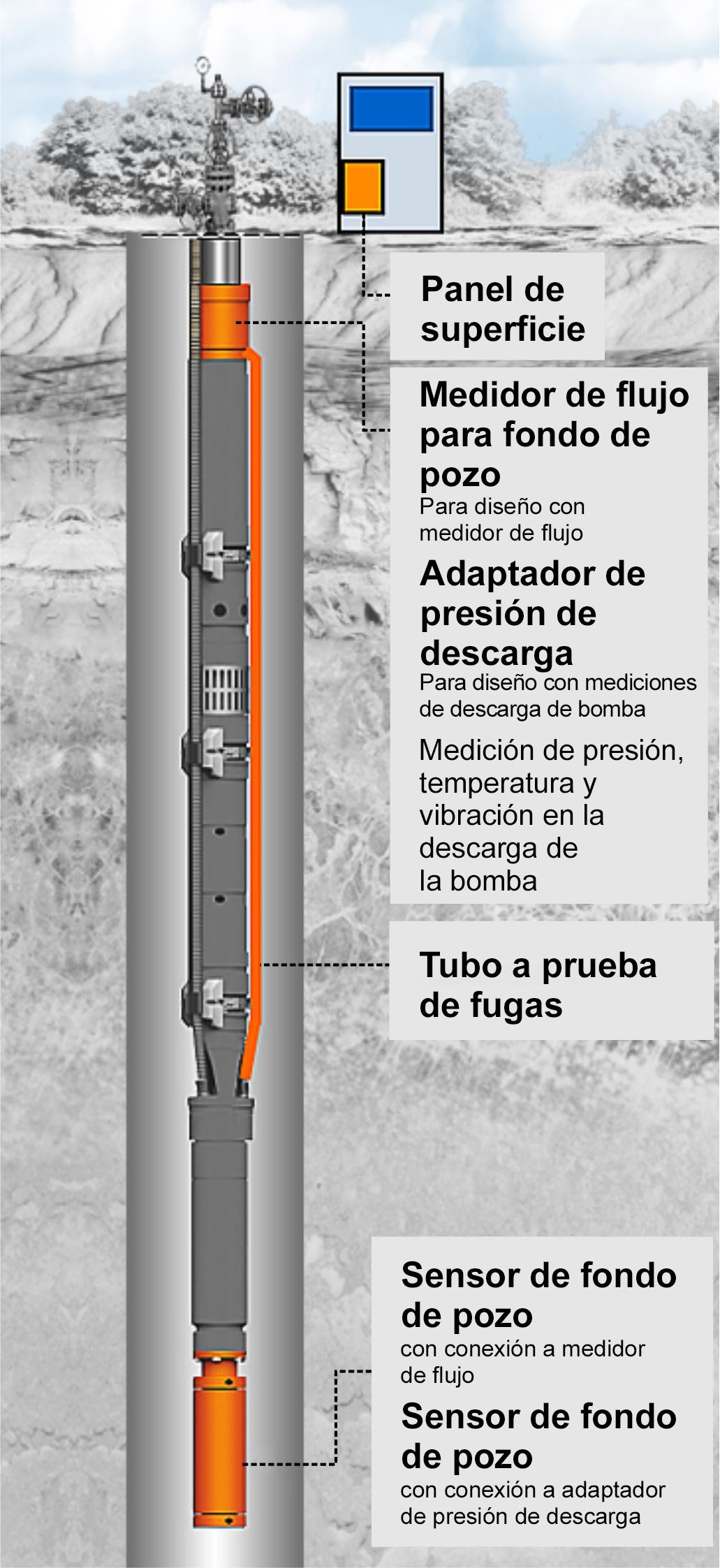 Diagrama que muestra la configuración extendida del sensor de BES con medidor de flujo